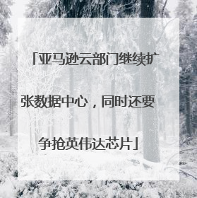 亚马逊云部门继续扩张数据中心，同时还要争抢英伟达芯片