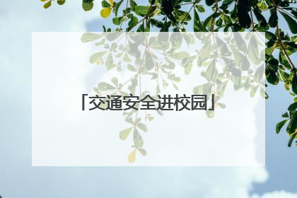 交通安全进校园