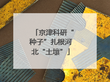 京津科研“种子”扎根河北“土壤”