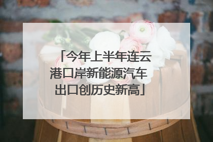 今年上半年连云港口岸新能源汽车出口创历史新高