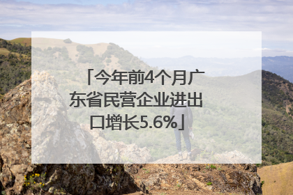 今年前4个月广东省民营企业进出口增长5.6%