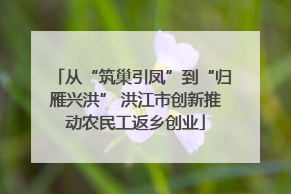 从“筑巢引凤”到“归雁兴洪” 洪江市创新推动农民工返乡创业