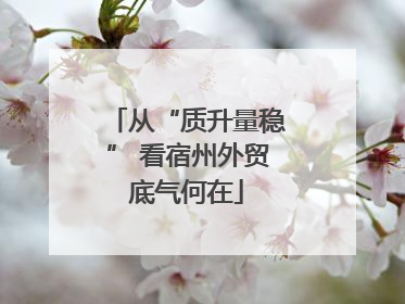 从“质升量稳” 看宿州外贸底气何在