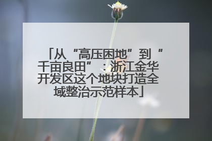 从“高压困地”到“千亩良田”：浙江金华开发区这个地块打造全域整治示范样本