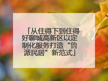 从住得下到住得好聊城高新区以定制化服务打造“鲁派民居”新范式