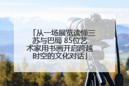 从一场展览读懂三苏与巴蜀 85位艺术家用书画开启跨越时空的文化对话
