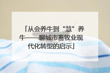 从会养牛到“慧”养牛——聊城市畜牧业现代化转型的启示