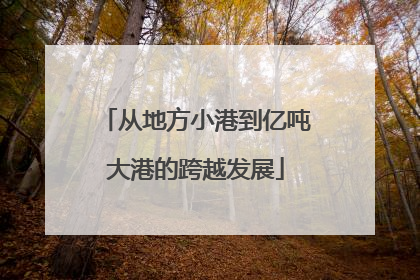 从地方小港到亿吨大港的跨越发展