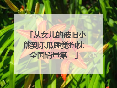 从女儿的破旧小熊到乐瓜睡觉抱枕全国销量第一