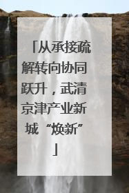 从承接疏解转向协同跃升，武清京津产业新城“焕新”