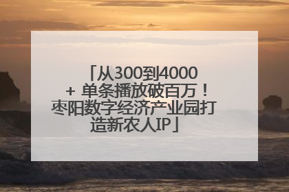 从300到4000+ 单条播放破百万！枣阳数字经济产业园打造新农人IP