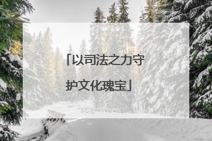 以司法之力守护文化瑰宝