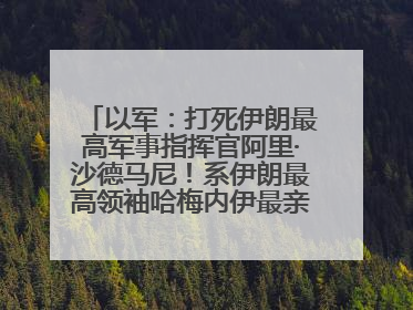 以军：打死伊朗最高军事指挥官阿里·沙德马尼！系伊朗最高领袖哈梅内伊最亲密的人之一