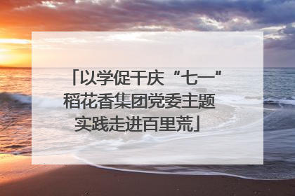 以学促干庆“七一” 稻花香集团党委主题实践走进百里荒