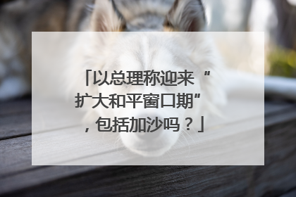 以总理称迎来“扩大和平窗口期”，包括加沙吗？