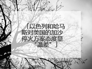 以色列和哈马斯对美国的加沙停火方案态度显“温差”