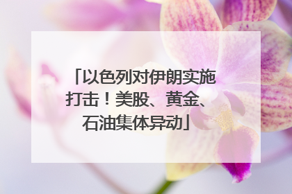 以色列对伊朗实施打击！美股、黄金、石油集体异动