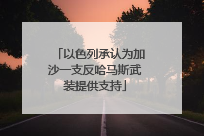 以色列承认为加沙一支反哈马斯武装提供支持