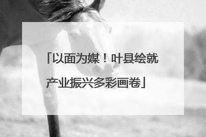 以面为媒！叶县绘就产业振兴多彩画卷
