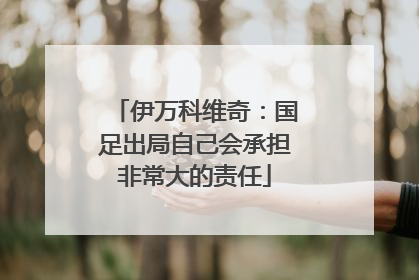 伊万科维奇：国足出局自己会承担非常大的责任