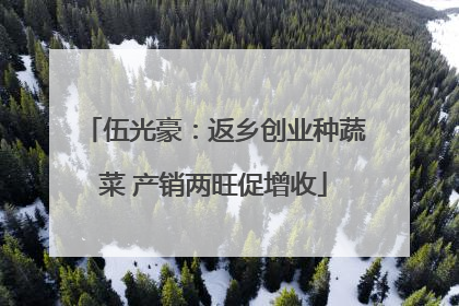 伍光豪：返乡创业种蔬菜 产销两旺促增收