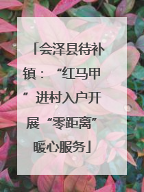 会泽县待补镇：“红马甲”进村入户开展“零距离”暖心服务