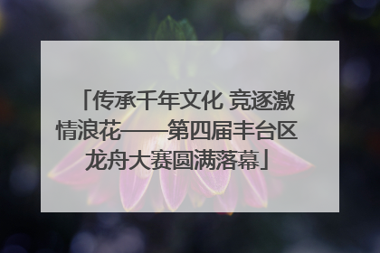 传承千年文化 竞逐激情浪花——第四届丰台区龙舟大赛圆满落幕