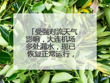 受强对流天气影响，大连机场多处漏水，现已恢复正常运行，气象台回应