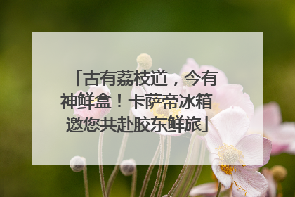 古有荔枝道，今有神鲜盒！卡萨帝冰箱邀您共赴胶东鲜旅