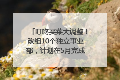 叮咚买菜大调整！改组10个独立事业部，计划在5月完成App端全面改版