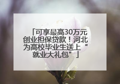 可享最高30万元创业担保贷款！河北为高校毕业生送上“就业大礼包”