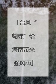 台风“蝴蝶”给海南带来强风雨