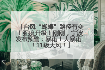 台风“蝴蝶”路径有变！强度升级！刚刚，宁波发布预警：暴雨！大暴雨！11级大风！