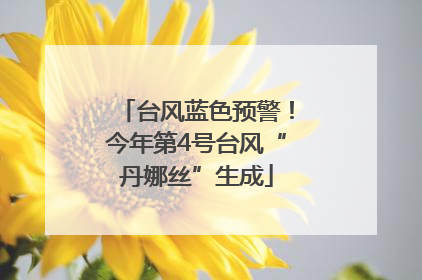 台风蓝色预警！今年第4号台风“丹娜丝”生成