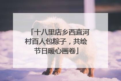十八里店乡西直河村百人包粽子，共绘节日暖心画卷