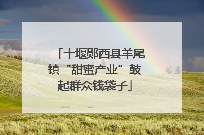 十堰郧西县羊尾镇“甜蜜产业”鼓起群众钱袋子