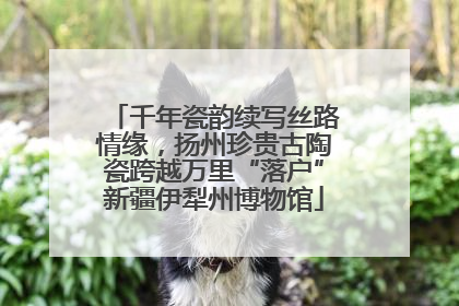 千年瓷韵续写丝路情缘，扬州珍贵古陶瓷跨越万里“落户”新疆伊犁州博物馆