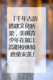 千年古韵搭建文化桥梁，美国青少年在镇江高职校体验唐菓宋茶