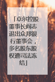 卓尔控股董事长阎志退出众邦银行董事会，多名股东股权遭司法冻结