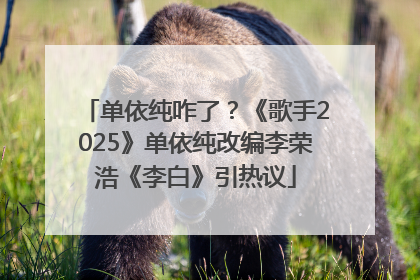 单依纯咋了？《歌手2025》单依纯改编李荣浩《李白》引热议