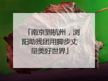 南京到杭州，浏阳助残团用脚步丈量美好世界