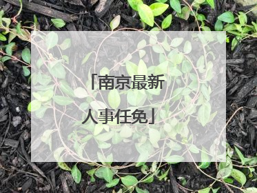 南京最新人事任免