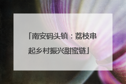 南安码头镇：荔枝串起乡村振兴甜蜜链