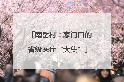 南岳村：家门口的省级医疗“大集”