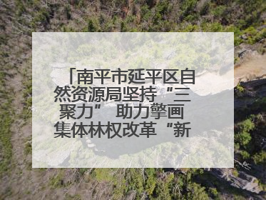 南平市延平区自然资源局坚持“三聚力” 助力擎画集体林权改革“新图景”
