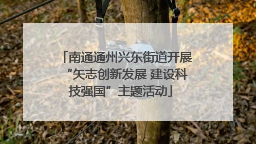 南通通州兴东街道开展“矢志创新发展 建设科技强国”主题活动