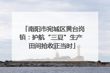 南阳市宛城区黄台岗镇：护航“三夏”生产 田间抢收正当时