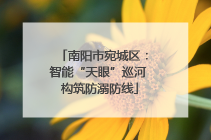 南阳市宛城区：智能“天眼”巡河 构筑防溺防线