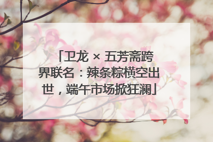 卫龙 × 五芳斋跨界联名：辣条粽横空出世，端午市场掀狂澜