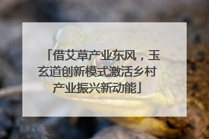 借艾草产业东风，玉玄道创新模式激活乡村产业振兴新动能